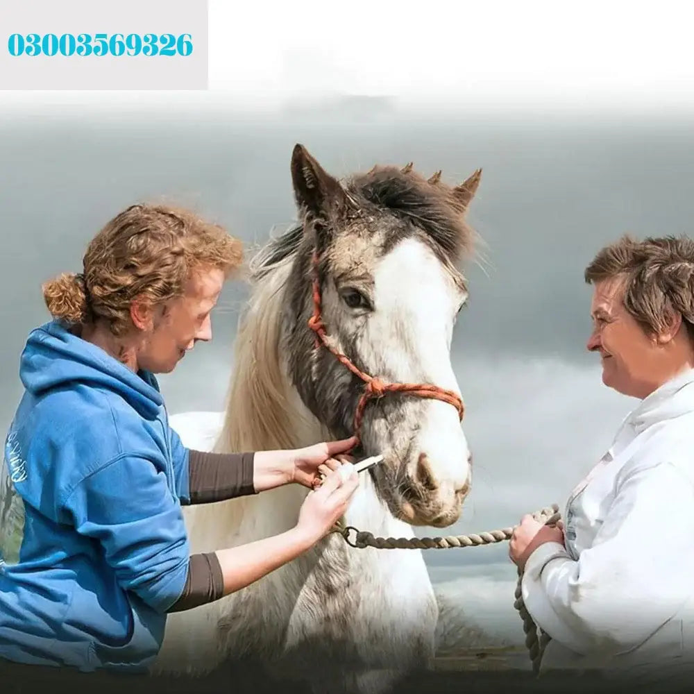 Durvet Duramectin Equine Wormer Paste – 3 Tubes