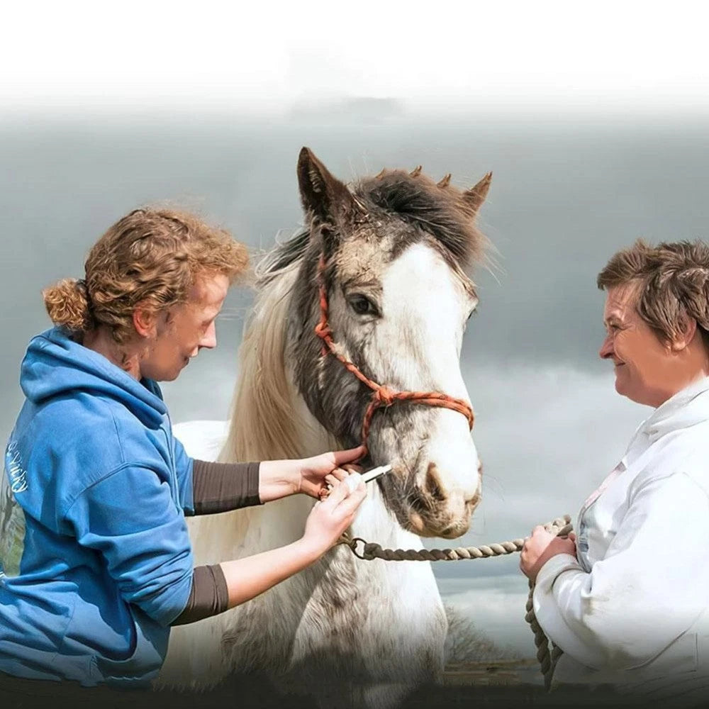 ivermectin horse 3 pcs